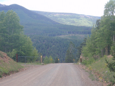 Back view, cattle guard.